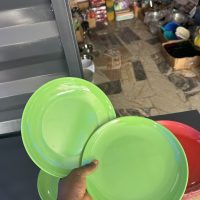 Unbreakable Flat plate P209 - 1 piece