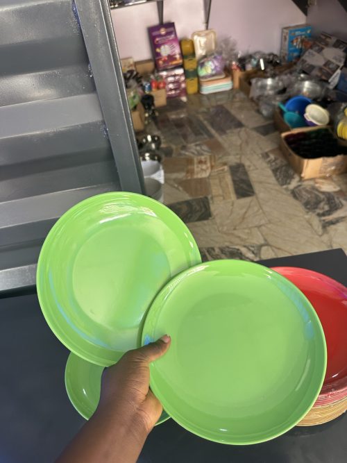 Unbreakable Flat plate P209 - 1 piece