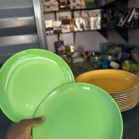 Unbreakable Flat plate P209 - 1 piece