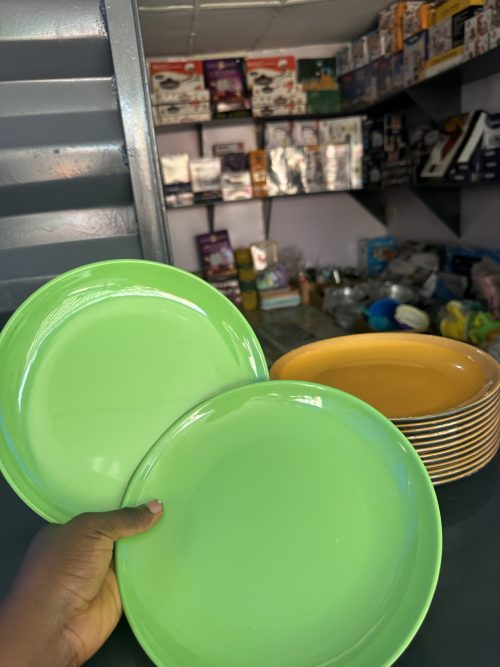 Unbreakable Flat plate P209 - 1 piece