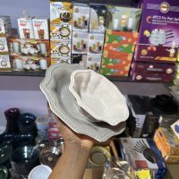 img_3275 Unbreakable Flat and Soup plate T4011-P10 & T4011-W7 - 1 piece each