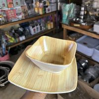 Unbreakable Flat and Soup plate 8019 & W1011 – 1 piece each