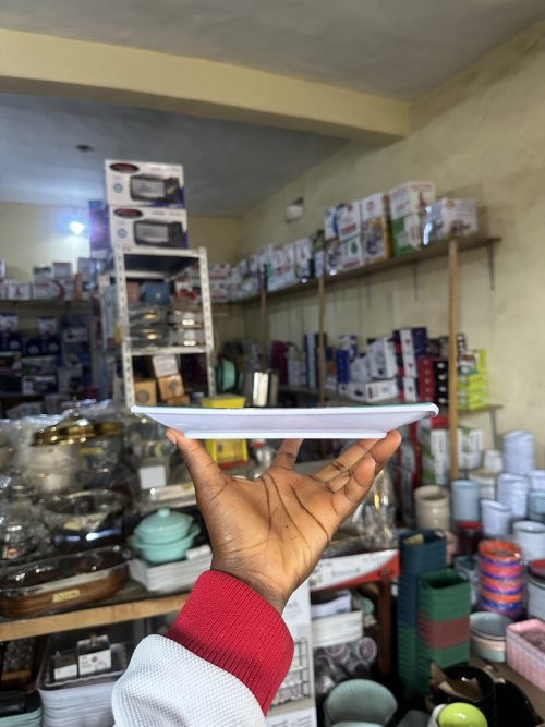 Unbreakable Flat Plate 8049 – 1 piece
