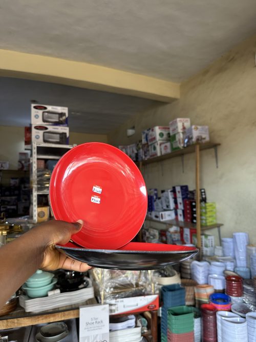 Unbreakable Flat Plate P3017-9 – 1 piece