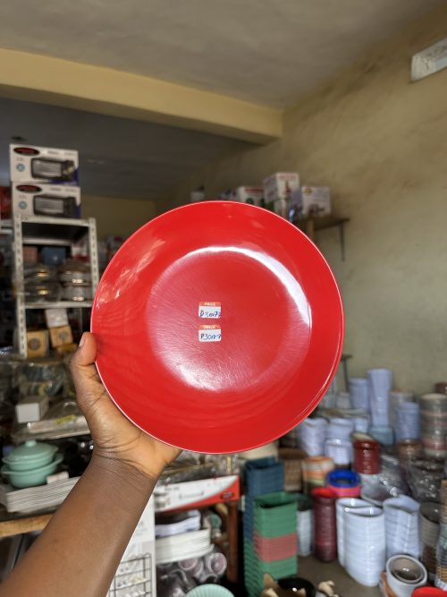 Unbreakable Flat Plate P3017-9 – 1 piece