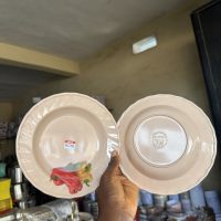 Unbreakable Flat Plate 112080 – 1 piece